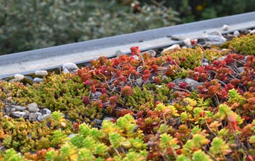 the cost of Yapham green roof installation