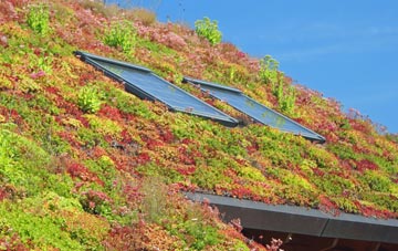 Yapham living roof systems