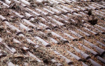 Yapham roof cleaning companies